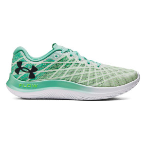 UNDER ARMOUR Men's FLOW Velociti Wind 2 Green Running Shoes